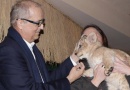 FOTOREPORTÁŽ: V plzeňské zoo dnes pokřtili lvíčka Baqira FOTOREPORTÁŽ: V plzeňské zoo dnes pokřtili lvíčka Baqira