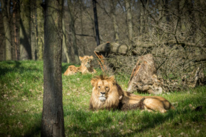 lvi2_Foto Matyáš Slavík