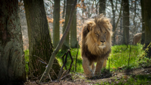 lvi5_Foto Matyáš Slavík